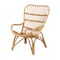 Baxton Studio Earvin Modern Bohemian Natural Brown Rattan Armchair 224-12707-ZORO - alternate 10